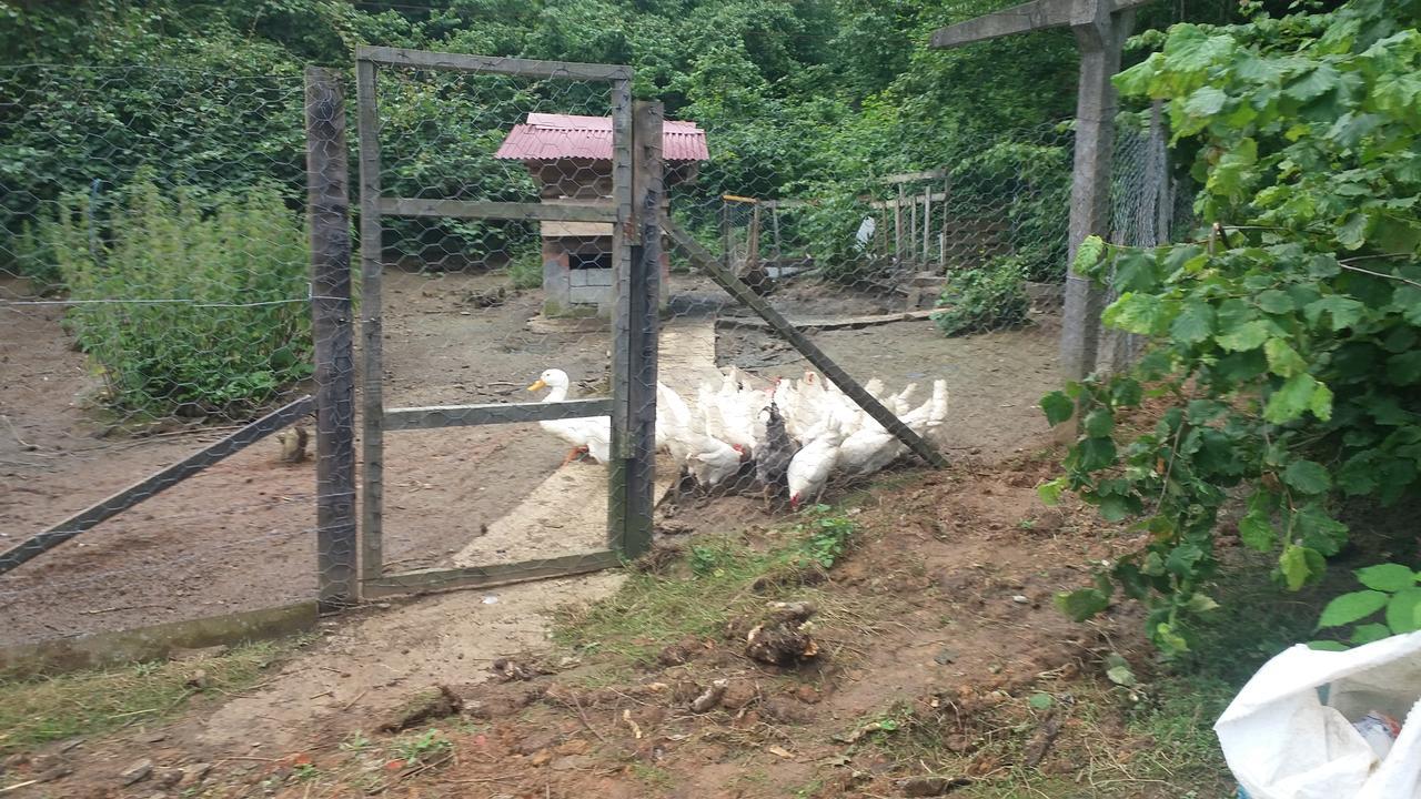 Villa Inceler Konagi Findikli  Esterno foto