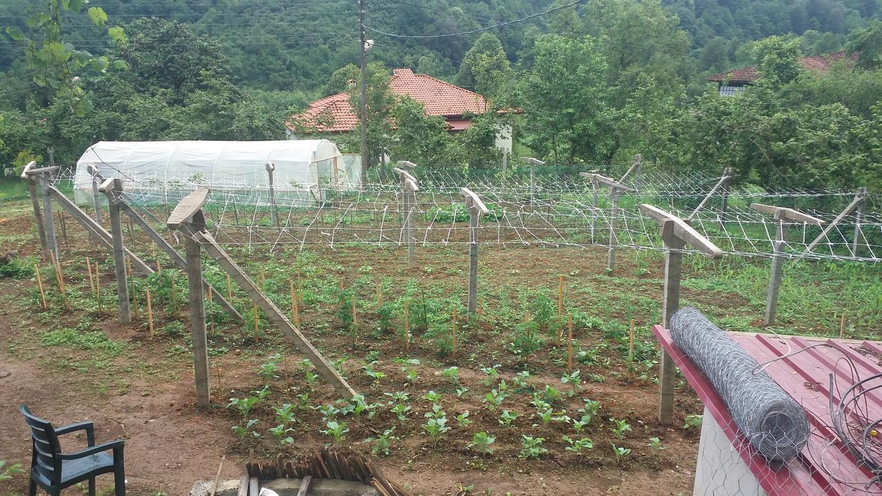Villa Inceler Konagi Findikli  Esterno foto