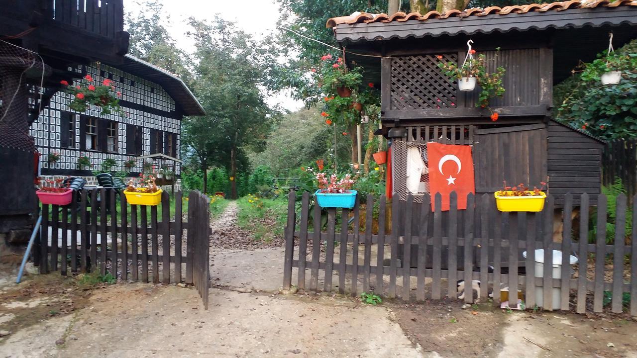 Villa Inceler Konagi Findikli  Esterno foto